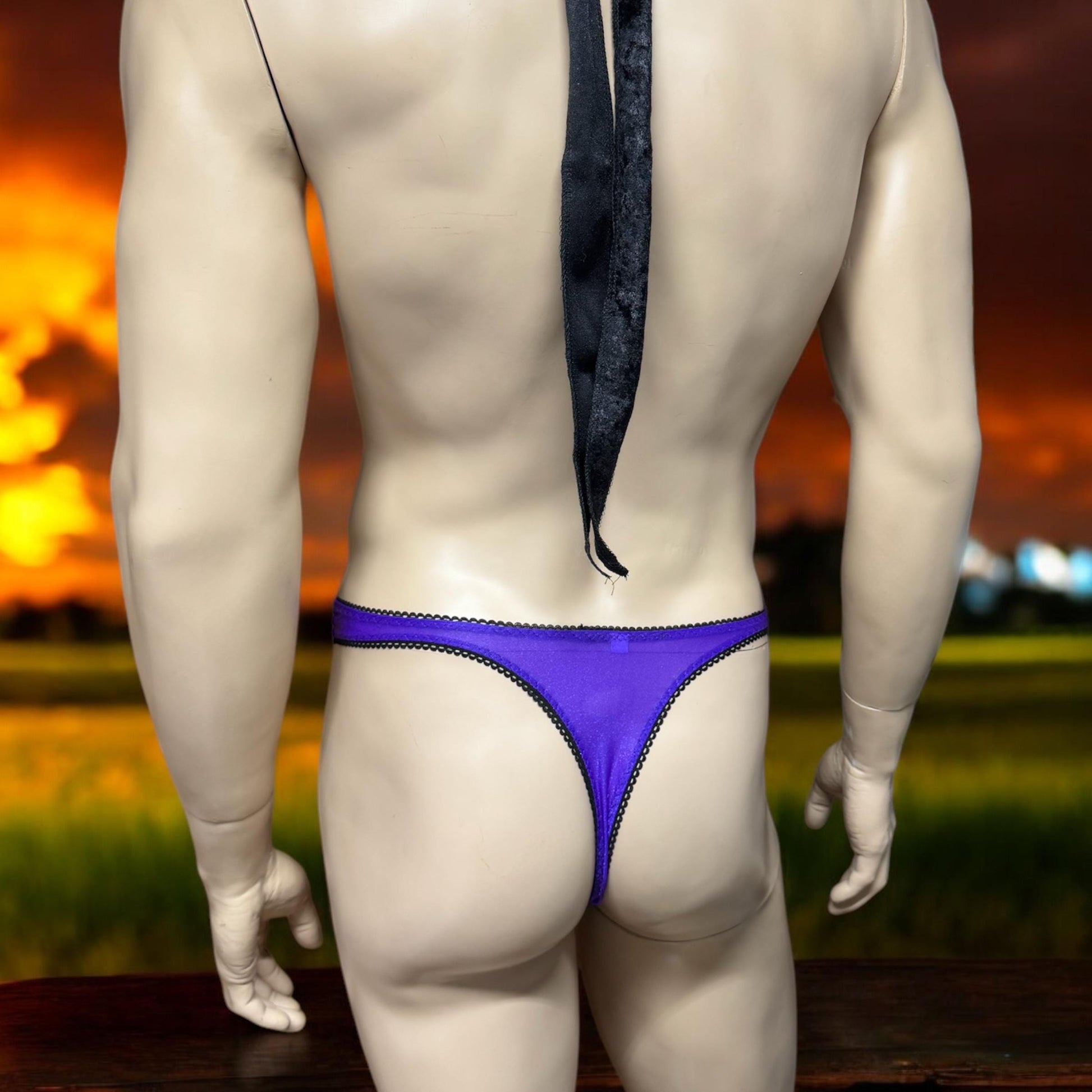 Men's Sexy Thong Underwear - Shiny Purple & Semi-Sheer