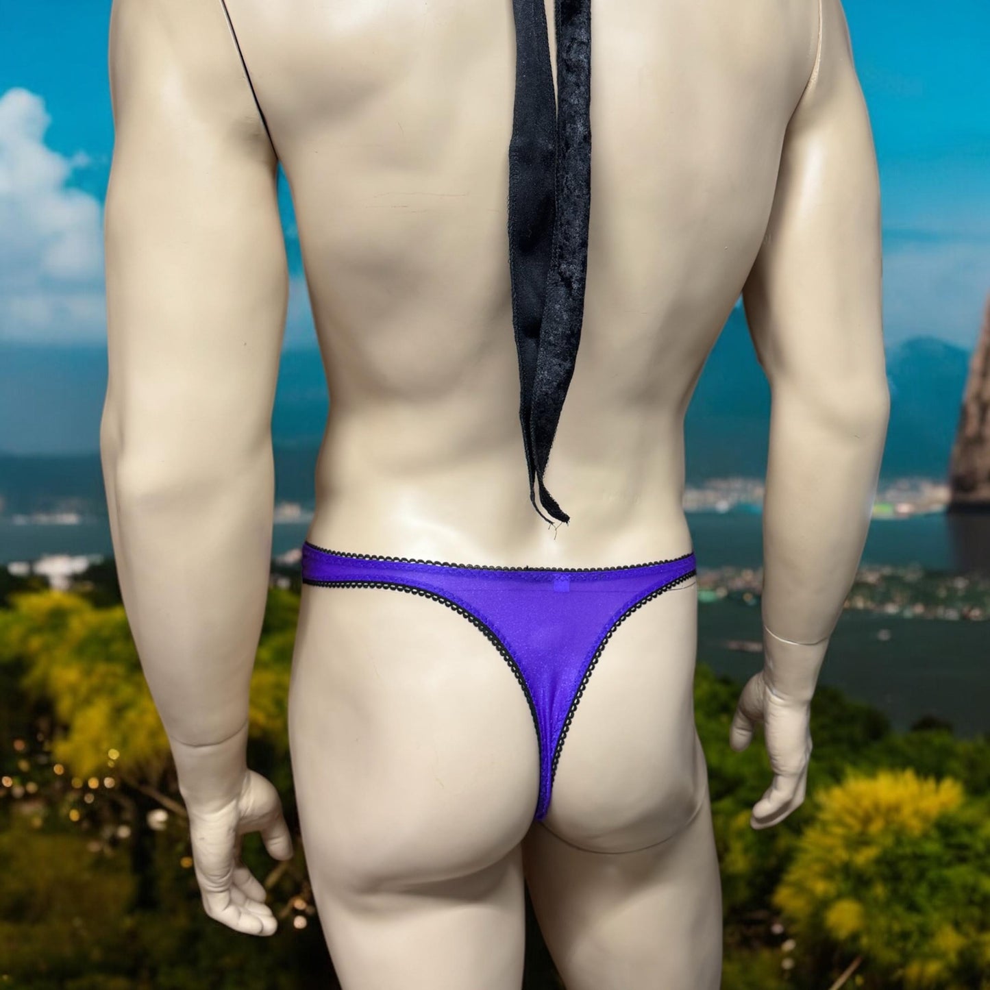Men's Sexy Thong Underwear - Shiny Purple & Semi-Sheer
