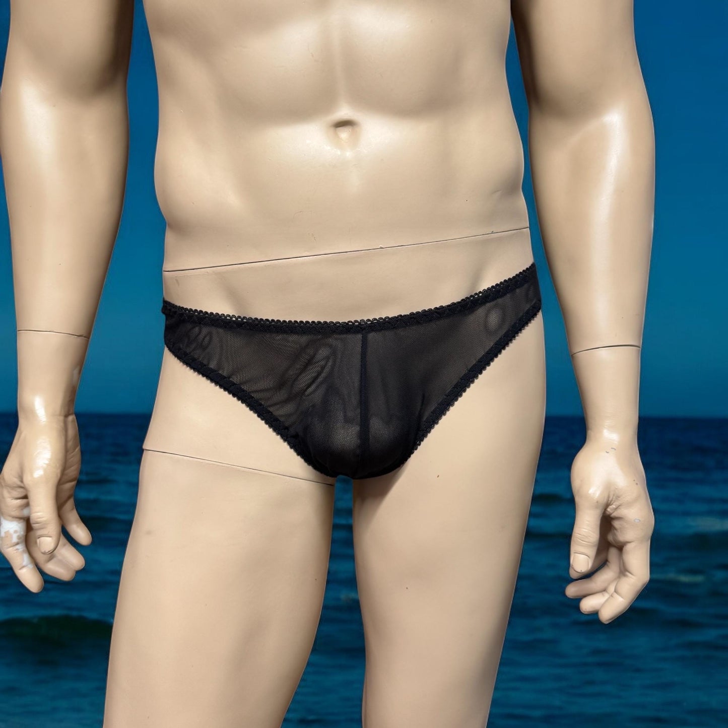 Men's Black Mesh Thong Briefs - Sexy Underwear for Him