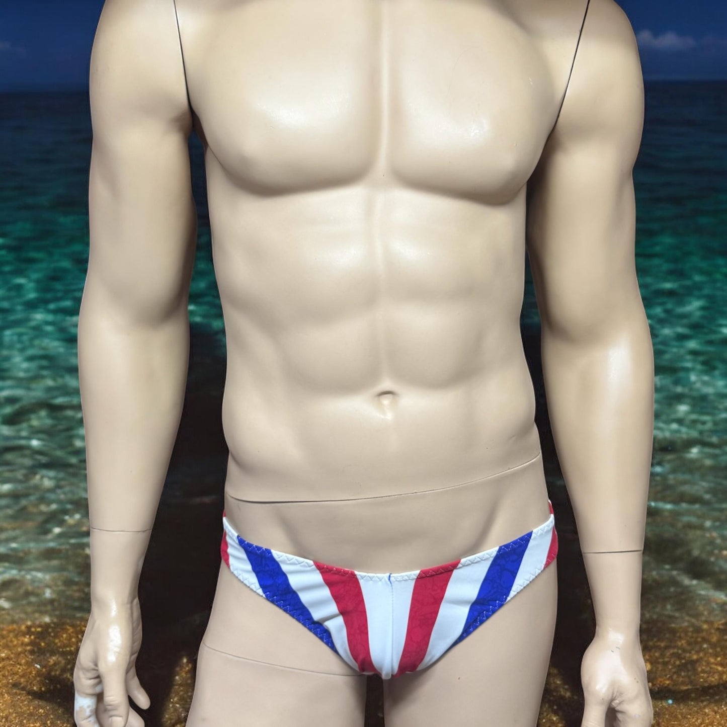 USA Flag Colors Swim Briefs for Men