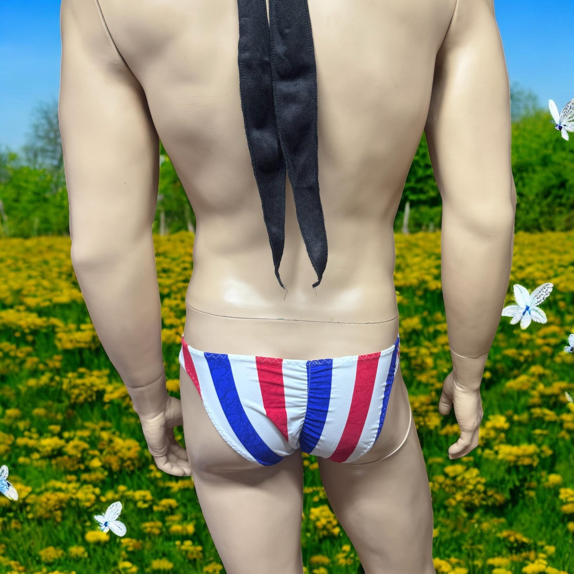 USA Flag Colors Swim Briefs for Men