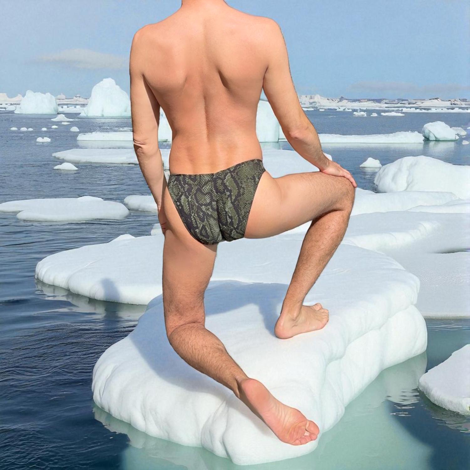 Reptile Print Men's Underwear Briefs