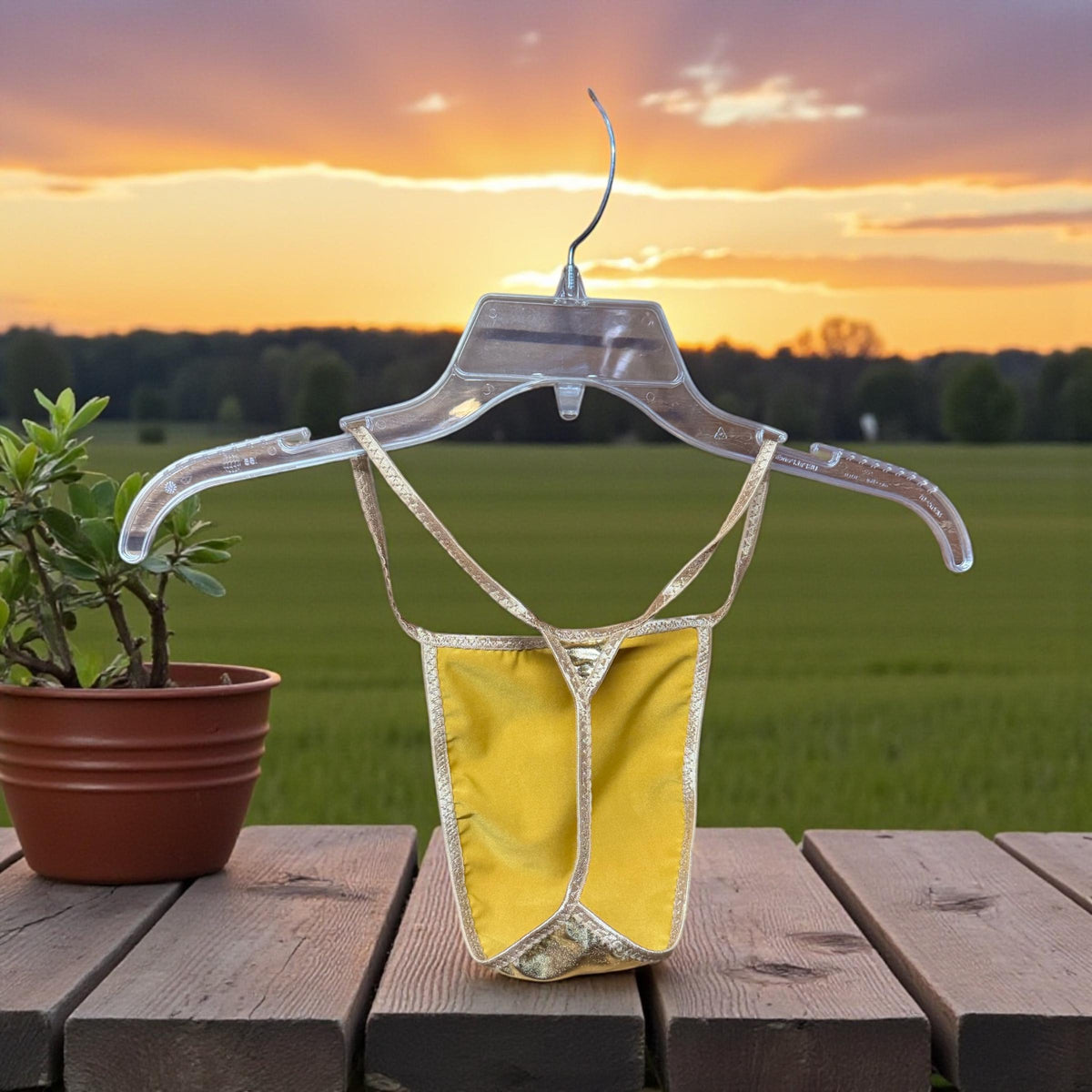Gold Shiny G-String for Men | Bold & Eye-Catching Design