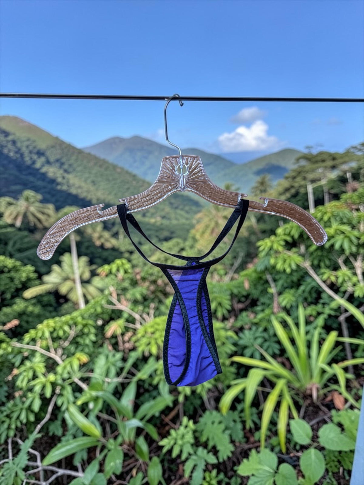 “Purple and black sheer thong-style lingerie hanging on a clear hanger outdoors with green mountains and blue sky in the background.”